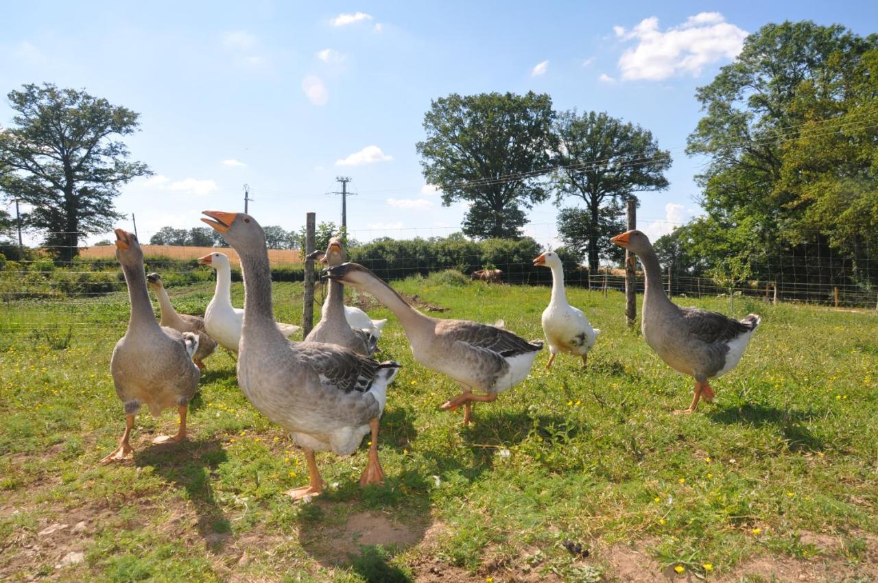 Vila La Ferme Aux Cinq Sens Bussiere-Boffy Exteriér fotografie