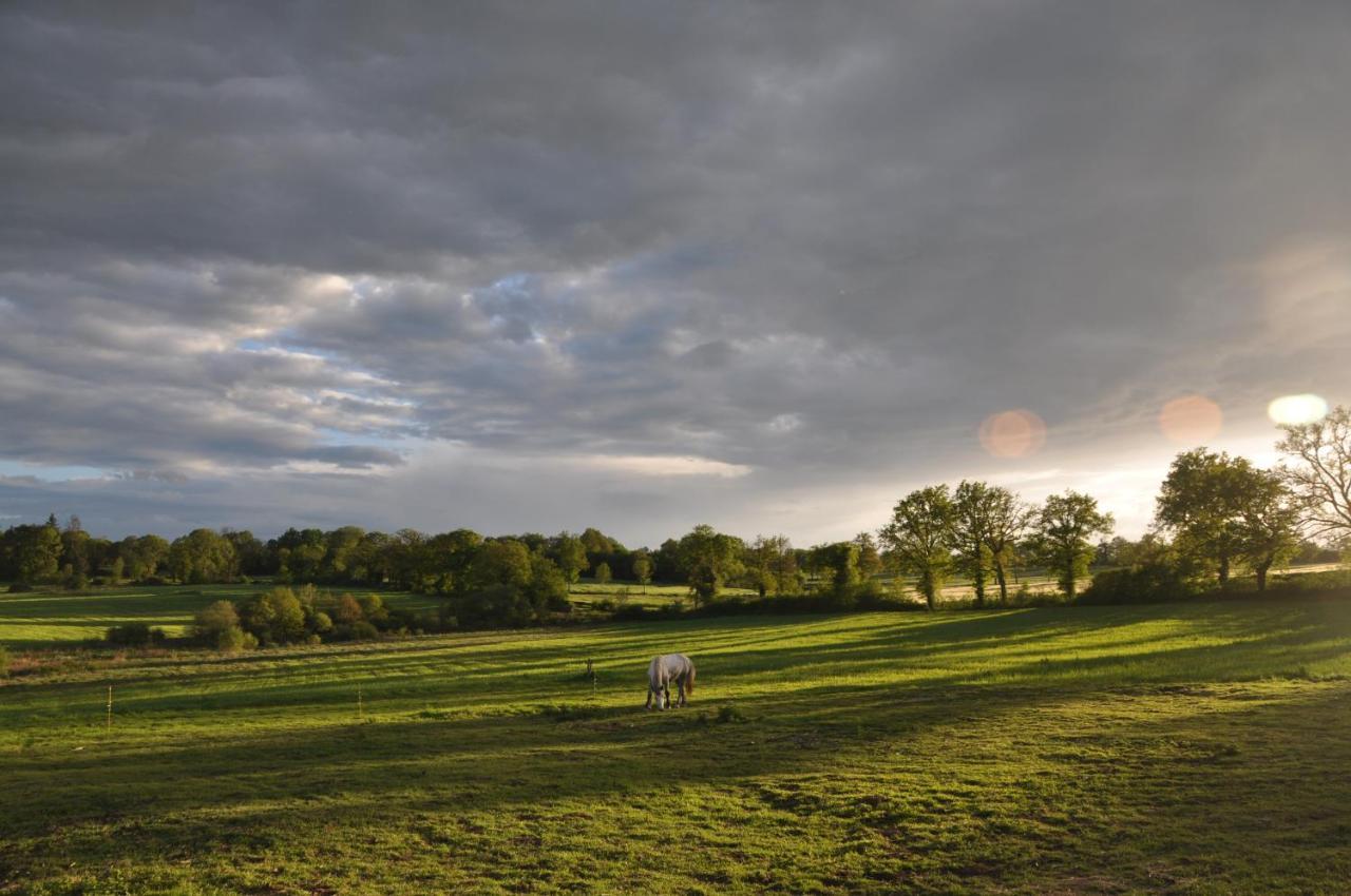 Vila La Ferme Aux Cinq Sens Bussiere-Boffy Exteriér fotografie