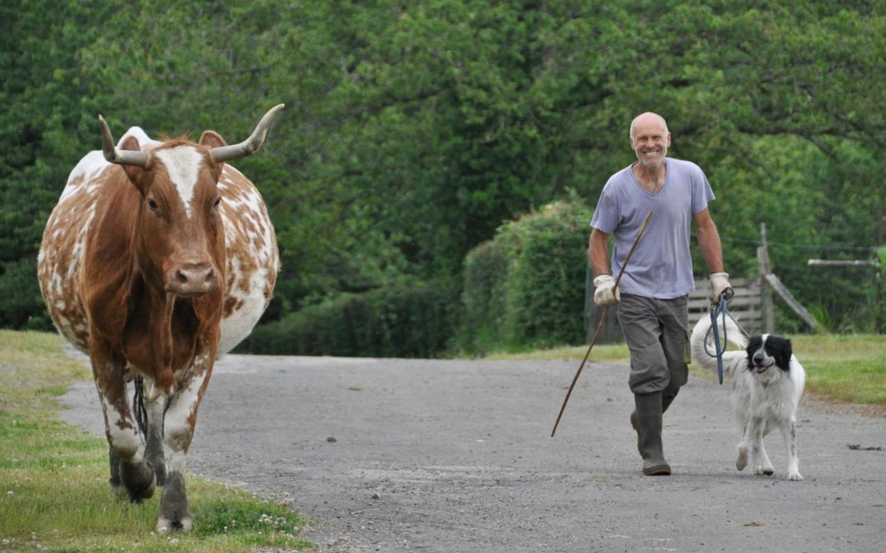 Vila La Ferme Aux Cinq Sens Bussiere-Boffy Exteriér fotografie