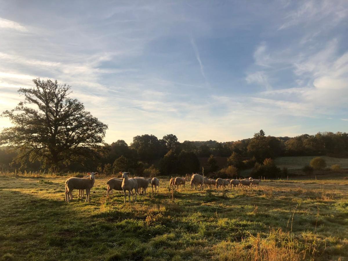 Vila La Ferme Aux Cinq Sens Bussiere-Boffy Exteriér fotografie